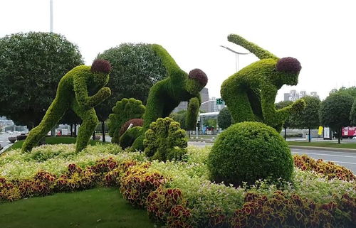 雪前雪后,帶你領略不一樣的南京綠雕