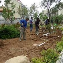  天津市天福園林綠化工程有限責任公司 主營 苗木 花卉 綠化工程