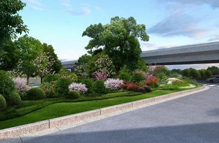 一路呵護(hù)一路成果 湖州七條綠化通道入選省 最美