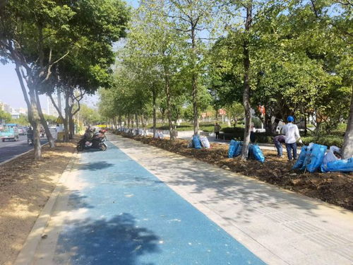 蒼南縣城好多公園 真好看