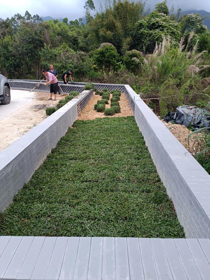 白馬村雙一移民村公園綠化照片#施工現(xiàn)場(chǎng)實(shí)拍 #園林綠化工程