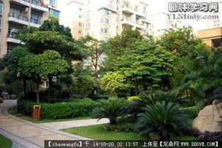 植物配置,花鏡設(shè)計(jì)參考實(shí)景圖片的圖片瀏覽,園林節(jié)點(diǎn)照片,綠化,園林景觀設(shè)計(jì)施工圖紙資料下載