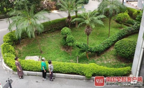 南寧綠化工人五年匠心打造動(dòng)物世界主題園林，綠色藝術(shù)驚艷全城